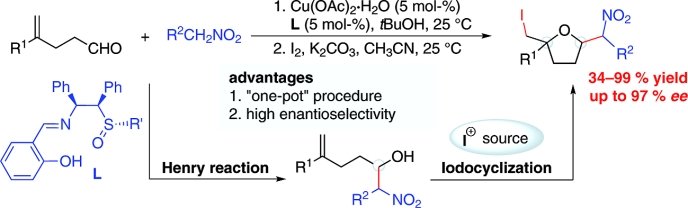 Enantioselective Synthesis of Tetrahydrofuran Derivatives